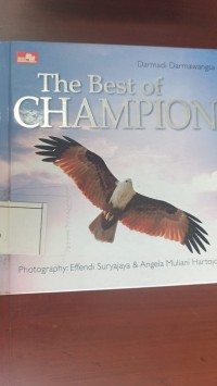 Image of The BEst Of Champion